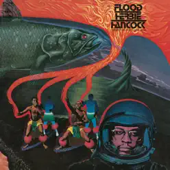 Flood (Live) - Herbie Hancock
