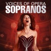 Voices of Opera: Sopranos