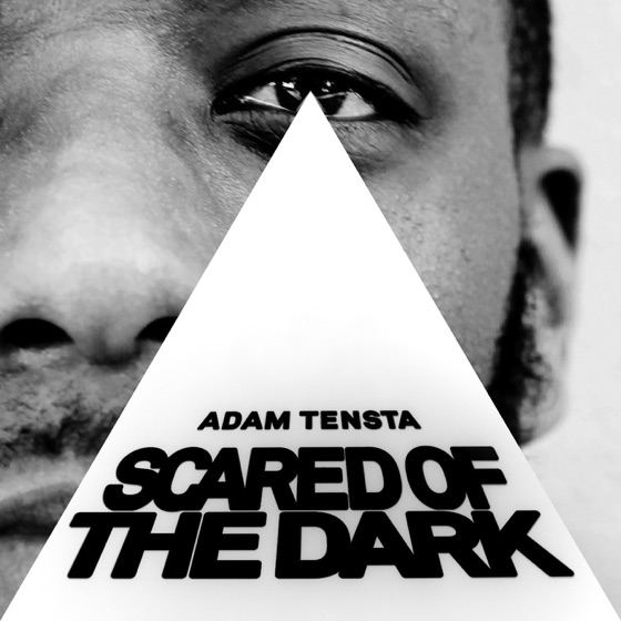 Cover artwork for Like a Punk