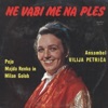 ANSAMBEL VILIJA PETRIČA - Domotožje
