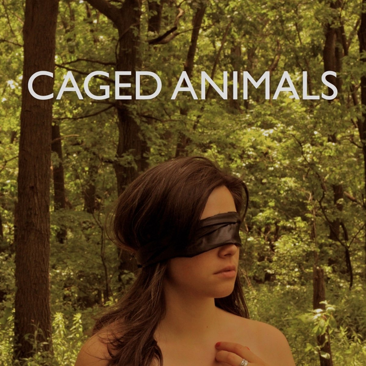 Animal Cage.