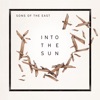 Into the Sun - Single