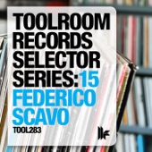 Toolroom Records Selector Series: 15 Federico Scavo artwork