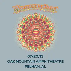 Live at Oak Mountain 7/20/2013 - Widespread Panic