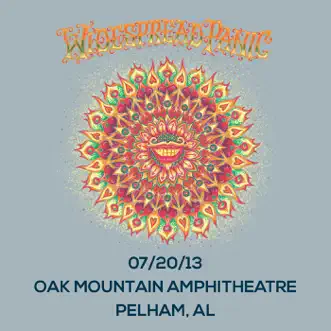 Live at Oak Mountain 7/20/2013 by Widespread Panic album reviews, ratings, credits