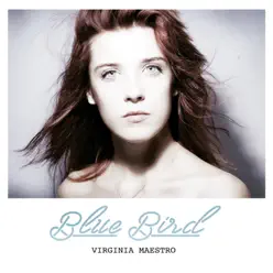 Blue Bird - Virginia Maestro