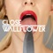 Wallflower (Huxley Remix) [feat. Fink] - Close lyrics