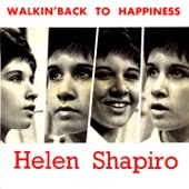 Walking Back to Happiness artwork