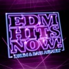 The Unthinkable - EDM Hits Now