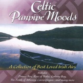 Celtic Panpipe Moods (A collection of Best Loved Irish Airs) artwork