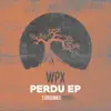 Perdu - Single album lyrics, reviews, download