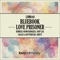 Love Prisoner (DeMarzo Remix) - Bluebook lyrics
