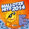 Mallotze Hits 2014, 2014