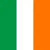 Stream & download Irish Celebration - Single
