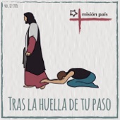 Tras la Huella de Tu Paso, Vol. Xll artwork