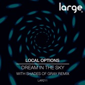 Dream In the Sky (Shades of Gray Remix) artwork