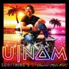 Something's Up (Summer Radio Edit) - Single, 2014