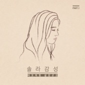 바보처럼 살았군요 (From "솔라감성, Pt. 1") artwork