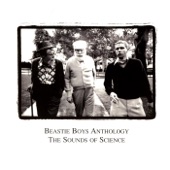 Beastie Boys - Skills to Pay the Bills