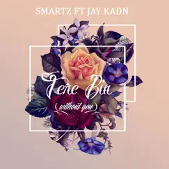 Tere Bin (Without You) [feat. Jay Kadn] - Single by Smartz album reviews, ratings, credits