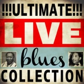 Ultimate Live Blues Collection artwork