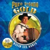 Puro Tejaño Gold: David Lee Garza