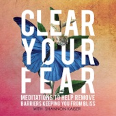 Shannon Kaiser - Clear Your Fear of Being Alone