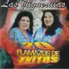 20 Flamazos de Éxitos album lyrics, reviews, download