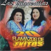 20 Flamazos de Éxitos