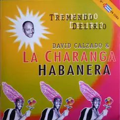 Tremendo Delirio by David Calzado y Su Charanga Habanera album reviews, ratings, credits