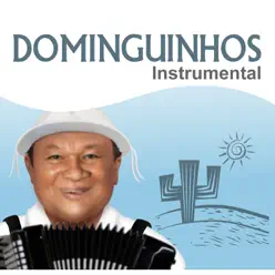 Dominguinhos Instrumental - Dominguinhos Dominguinhos Instrumental - Dominguinhos