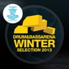 Drum & Bass Arena Winter Selection 2013 artwork