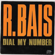 Dial My Number (Extended Version) - R. Bais
