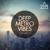 Deep Metro Vibes, Vol. 2