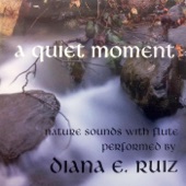 Diana E. Ruiz - Gratitude