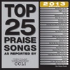 Top 25 Praise Songs 2013 Edition, 2012