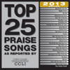 Top 25 Praise Songs 2013 Edition - Various Artists