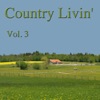 Country Livin' Vol. 3, 2014