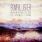 Bumpallister - Andrew Gromiller and the Organically Grown lyrics