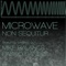 Microwave - Non Sequitur lyrics