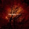 Baral Orgen 2 - Frog Pocket lyrics