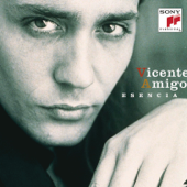 Esencia: The Best of Vicente Amigo - VICENTE AMIGO