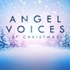 Angel Voices at Christmas, 2015