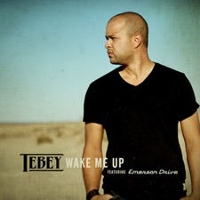 Wake Me Up artwork