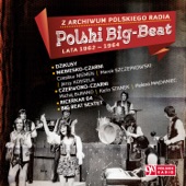 Z Archiwum Polskiego Radia: Polski Big Beat 1962 - 1964, Volume 1 artwork