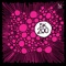 How To Find Royal Jelly - Sonar Kollektiv Orchester lyrics