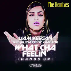 What Cha Feelin' (The Remixes) [feat. Julissa Veloz, Kae Lou] by Liam Keegan album reviews, ratings, credits