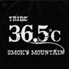 36.5ºc - 피노키오 (Pinocchio)
