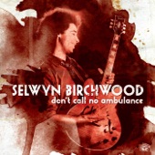 Selwyn Birchwood - The River Turned Red