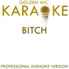 Bitch (In the Style of Meredith Brooks) [Karaoke Version] song lyrics